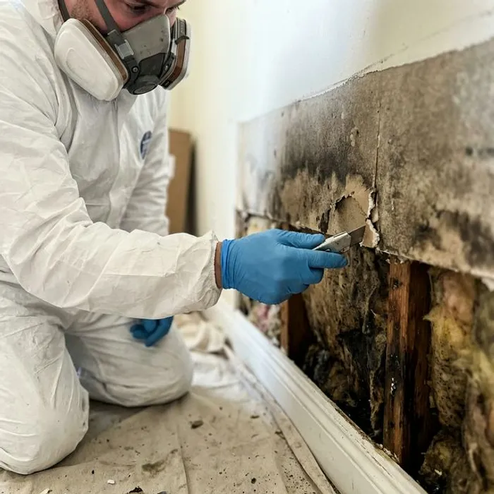 Contractor in PPE cutting away moldy drywall